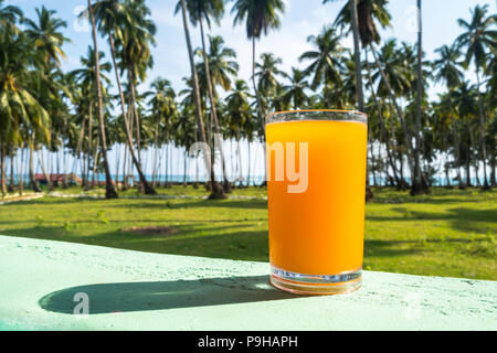 Glas mit frisch gepressten tropischen Früchten Saft stehend auf Strand. Grüne Palmenblättern Sukkulenten im Hintergrund. Blauer Himmel, goldenes Sonnenlicht Türkis Stockfoto