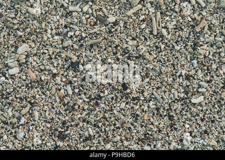 Meer Kiesel Kiesel farbige Granit am Strand am Strand Hintergrund Muscheln, Korallen, Kieselsteine und Sand für den Hintergrund. Stockfoto