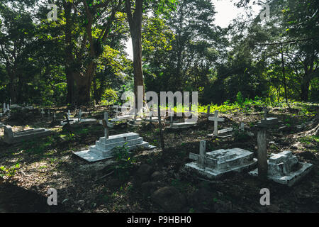 Detail der vielen Kreuze über ihre jeweiligen Gräber in einer italienischen Katholischen Friedhof gelegt. Kreuze aus Stein in der Mitte der vielen Bäumen. Cemet Stockfoto