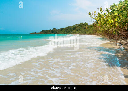 Laub an einem tropischen Strand. Traumhaft schöne tropische Landschaft. Exotische Laubbäume auf einer einsamen Insel. Andaman und Nicobar Inseln. Indien Stockfoto