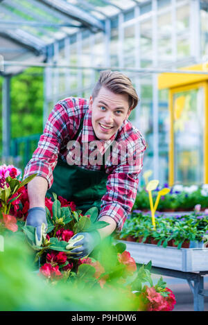 Florist während der Arbeit in einer modernen Blumenladen gewidmet Stockfoto