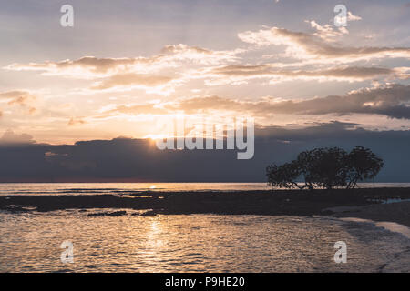 Schönen Sonnenuntergang auf der Insel von Neil Andamanen und Nikobaren Indien. Sandstrand und Mangroven an einem zauberhaften Sonnenuntergang im Sonnenlicht. Stockfoto