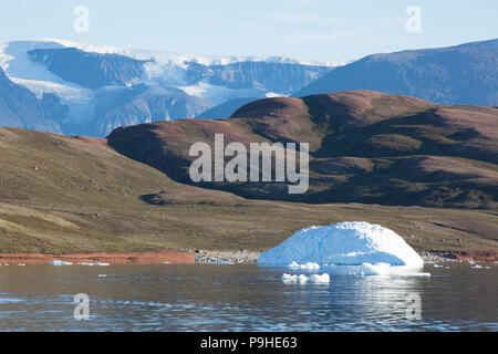 Eisberge, Scoresby-sund, Grönland Stockfoto