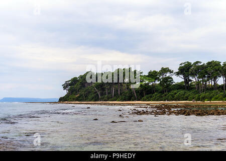 Neil Insel, Andamanen und Nikobaren. Indien. dichte Vegetation auf der Insel. Wunderschöne exotische Landschaft. Blick auf den Sandstrand vom Meer Stockfoto