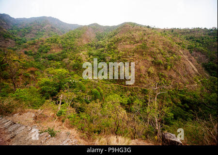 Dichten Wald an der Nandhour Tal, Kumaon Hügel, Uttarakhand, Indien Stockfoto