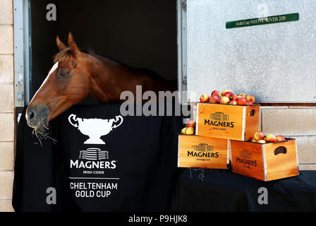 Magners Irish Cider hat heute, 18. Juli 2018, als exklusiver Sponsor der renommiertesten Springen, Rennen in Europa vorgestellt wurde, das Cheltenham Gold Cup und als Presenting Partner des FestivalTM, jährlich im März inszeniert in Cheltenham Racecourse, Prestbury Park, Gloucestershire. Native Fluss, Cheltenham Gold Cup Sieger in diesem Jahr ist abgebildet. Stockfoto