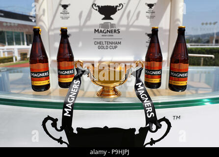 Eine allgemeine Ansicht der Cheltenham Gold Cup. Magners Irish Cider hat heute, 18. Juli 2018, als exklusiver Sponsor der renommiertesten Springen, Rennen in Europa vorgestellt wurde, das Cheltenham Gold Cup und als Presenting Partner des FestivalTM, jährlich im März inszeniert in Cheltenham Racecourse, Prestbury Park, Gloucestershire. Native Fluss, Cheltenham Gold Cup in diesem Jahr. Stockfoto