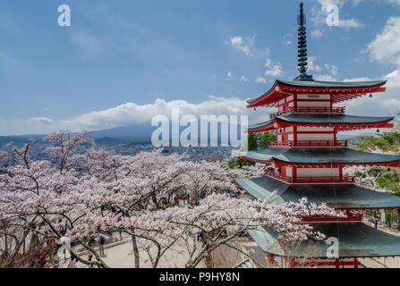 Chureito Pagode ist eine 5-stöckige Pagode auf einem Hügel mit Blick auf Mt. Fuji in Arakurayama Sengen Park. Die Pagode bieten beste Sicht auf den Berg. Fuji und Sakura. Stockfoto