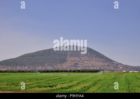 Berg Tabor befindet sich im unteren Galiläa, Israel, am östlichen Ende von Jezreel Senke Stockfoto