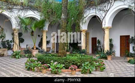 Cordoba Patios in Spanien Stockfoto