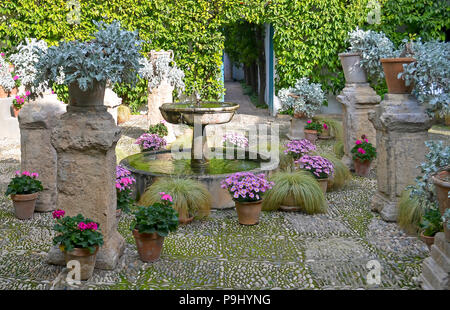 Springbrunnen verfügen über Terrassen in Córdoba in Andalusien Spanien Stockfoto