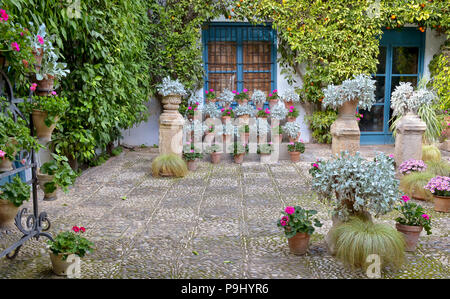 Cordoba Patios in Spanien Stockfoto