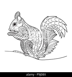 Eichhörnchen in einer Linie, Malbuch, Vector, Muster Stock Vektor
