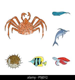 Eine Vielzahl von Meerestieren cartoon Symbole im Set Sammlung für Design. Fisch und Schalentiere vektor Symbol lieferbar Abbildung. Stock Vektor