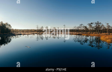 Panoramablick auf die Landschaft mit Bäumen im Wasser spiegelt bog Stockfoto