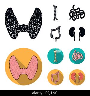 Schilddrüse, Wirbelsäule, Dünndarm, Dickdarm. Menschliche Organe set Sammlung Icons in Schwarz, flat Vektor Symbol lieferbar Abbildung. Stock Vektor