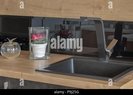 Neues Design der Geschirrspülmaschine in der Küche. Stockfoto