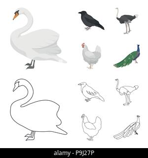 Crow, Strauß, Huhn, Pfau. Vögel stellen Sammlung Icons im Cartoon, Outline style Vektor Symbol lieferbar Abbildung. Stock Vektor