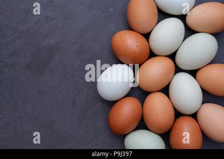 Bluebell araucana und Kastanie maran Eier mit einem rohen Ei und Muscheln auf einer Schiefertafel Hintergrund Stockfoto