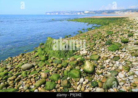 Shringle Strand bei Ebbe in der Nähe der Stadt von Seaton im East Devon, an der Jurassic Coast Stockfoto