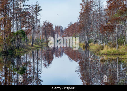 Suwanee Kanal in der okefenokee National Wildlife Refuge Stockfoto