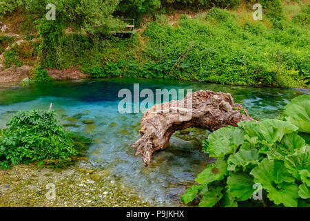 Karstquelle blauen Auge, ich Syri Kalter, Fluss Bistrica, in der Nähe von Saranda, Albanien Qark Vlora Stockfoto