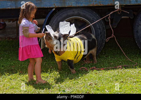Kleines Mädchen in rosa Kleid mit pet-Schwein in Kostüme gekleidet, wie eine Hummel. Und das sanfte Schwein ist hungrig. Wenn Schweine fliegen könnten. Stockfoto
