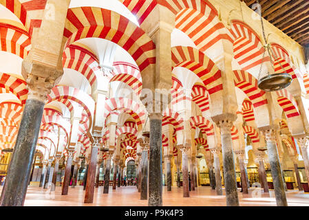 Maurische Spalten in der Moschee-Kathedrale von Córdoba, Andalusien, Spanien Stockfoto