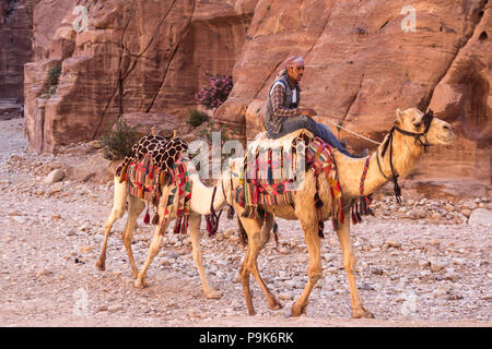 PETRA, Jordanien - 28. APRIL 2016: Beduinen junger Mann reitet auf seinem Kamel in Petra in Jordanien Stockfoto