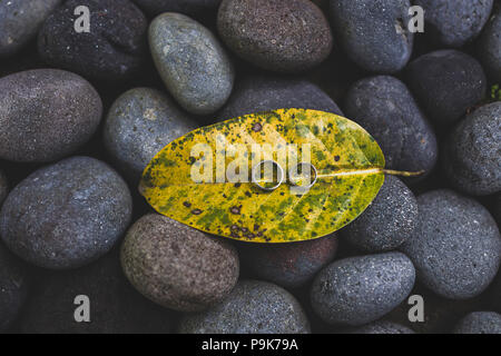 Trauringe close-up auf gelb Blatt grau dunkel Pebble Textur Stockfoto