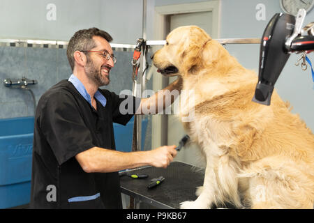 Männliche pet groomer Waschen und Reinigung ein Golden Retriever in katzensalon in Einklang ihrer Tiere sauber und gesund. Stockfoto