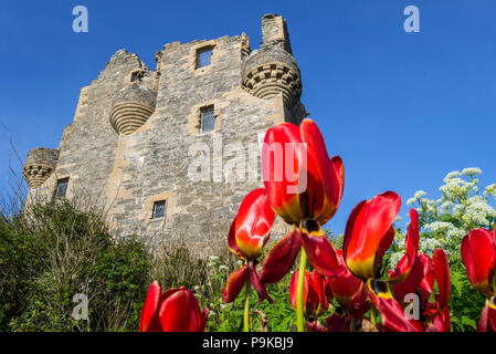 17. jahrhundert Scalloway Castle, das Tower House in Scalloway auf dem Festland, Shetlandinseln, Schottland, Großbritannien Stockfoto