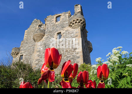 17. jahrhundert Scalloway Castle, das Tower House in Scalloway auf dem Festland, Shetlandinseln, Schottland, Großbritannien Stockfoto