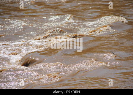 MUDDY WATERS, DER, Sandusky River. Stockfoto