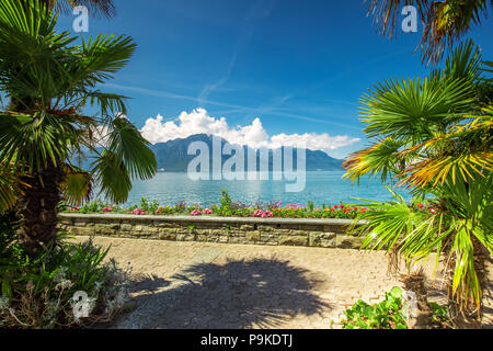 Montreux Stadt mit Schweizer Alpen, den Genfer See und im Lavaux, Kanton Waadt, Schweiz, Europa. Stockfoto