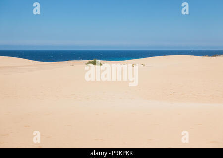 Die Dünen im Naturpark von Corralejo auf Fuerteventura, Kanarische Inseln - Spanien Stockfoto