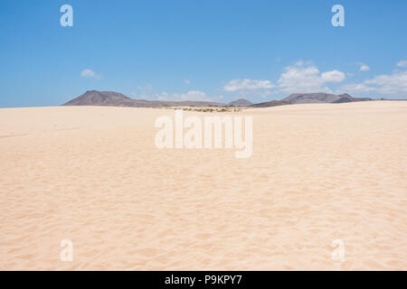 Die Dünen im Naturpark von Corralejo auf Fuerteventura, Kanarische Inseln - Spanien Stockfoto