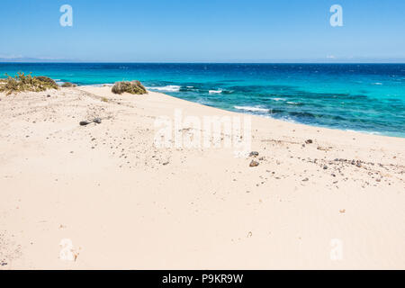 Fuerteventura Dünen im Naturpark Corralejo, Kanarische Inseln - Spanien Stockfoto