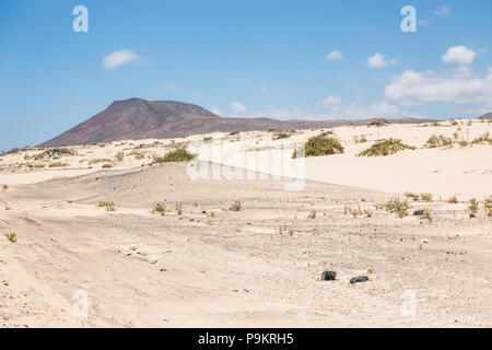 Die Dünen im Naturpark von Corralejo auf Fuerteventura, Kanarische Inseln - Spanien Stockfoto