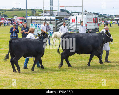 Skibbereen, Irland. 19. Juli 2018. Einen anderen hellen Sommertag mit einer kühlen Brise erlaubt die viele Klassen von Rinder und Pferde genossen von allen an der Carbery und Skibbereen zeigen. Credit: aphperspective/Alamy leben Nachrichten Stockfoto