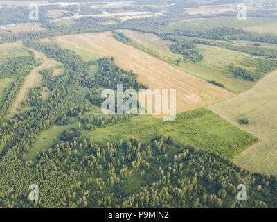 Hubschrauber Drohne erschossen. Luftaufnahmen von grünen Wald mit grünem Gras. Stockfoto