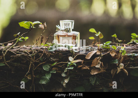 Flasche luxus Parfum- und Trauringe. Natur tropischen Hintergrund Stockfoto
