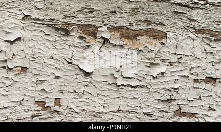Soft Focus abblätternde Farbe auf Holz für Hintergrund, Overlay oder Textur. Stockfoto