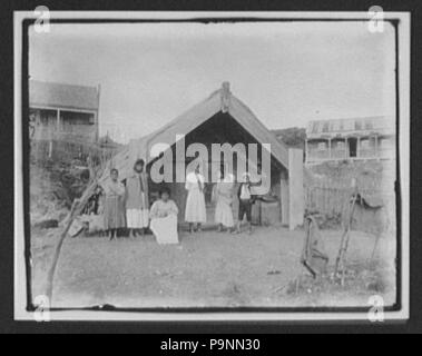 84 ein Maori Haus in Whakarewarewa, North Island LCCN 2004707447 Stockfoto