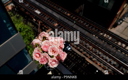 Frühlingszeit Stockfoto