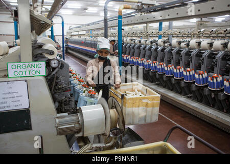 Organic Cotton in einer Textilfabrik, wo organische Baumwolle verwendet wird Kleidung zu machen, Indore, Indien gesponnen. Stockfoto