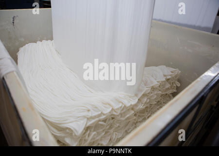 Organic Cotton in einer Textilfabrik, wo organische Baumwolle verwendet wird Kleidung zu machen, Indore, Indien gesponnen. Stockfoto