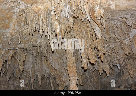 Decke Details in Carlsbad Caverns in New Mexico Stockfoto