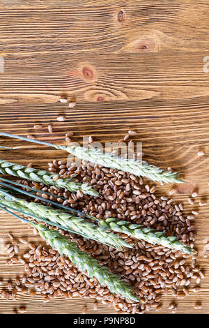 Frische grüne Ähren und eine reife Golden Grain zusammen liegen auf einem alten Holztisch, close-up Stockfoto