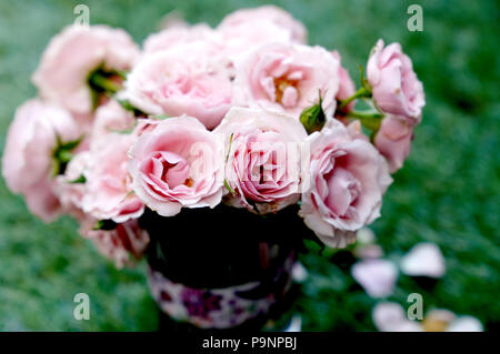 Frühlingszeit Stockfoto